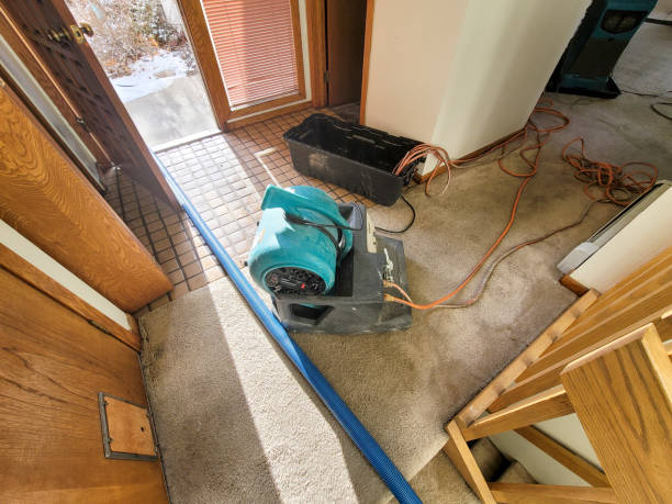 Best Sewage cleanup and water damage restoration  in Gambier, OH