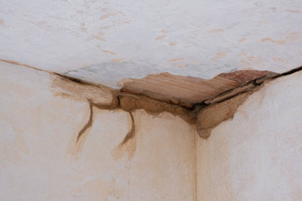 Carpet water damage restoration in Gambier, OH