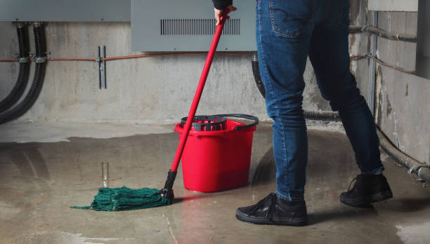 Best Water damage restoration near me  in Gambier, OH