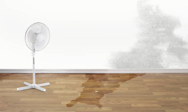 Best Fire Damage Restoration  in Gambier, OH