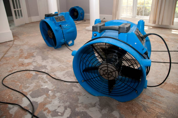 Best Ceiling water damage repair  in Gambier, OH