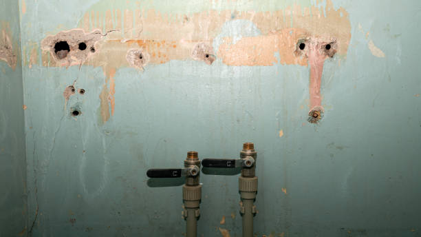 Best Water damage contractors near me  in Gambier, OH