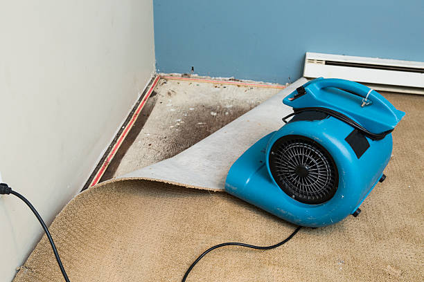 Best Flooded house restoration  in Gambier, OH